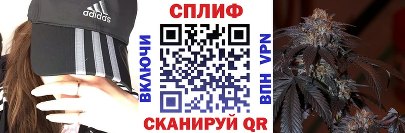 МЕФ Рузаевка