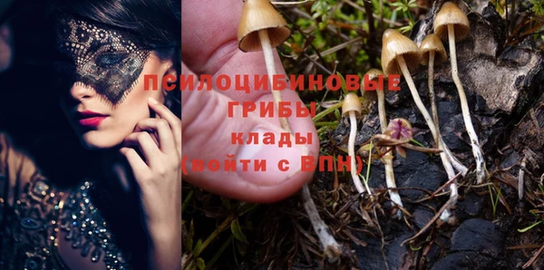 не бодяженный Пересвет