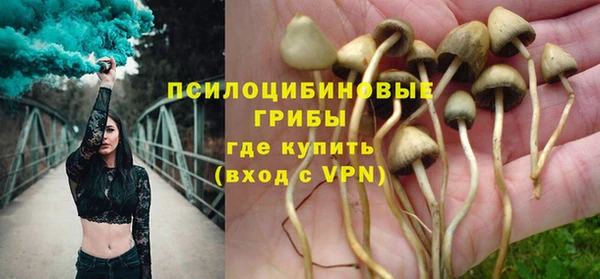 не бодяженный Пересвет