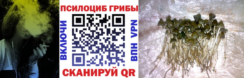 МЕГА рабочий сайт Рузаевка Псилоцибиновые грибы мухоморы как найти закладки