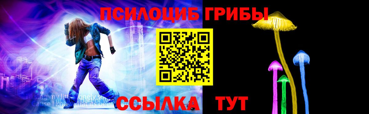 Псилоцибиновые грибы Psilocybe Рузаевка